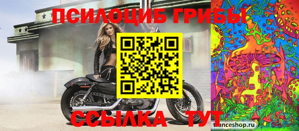 Псилоцибиновые грибы GOLDEN TEACHER  Вход с VPN  Прокопьевск 